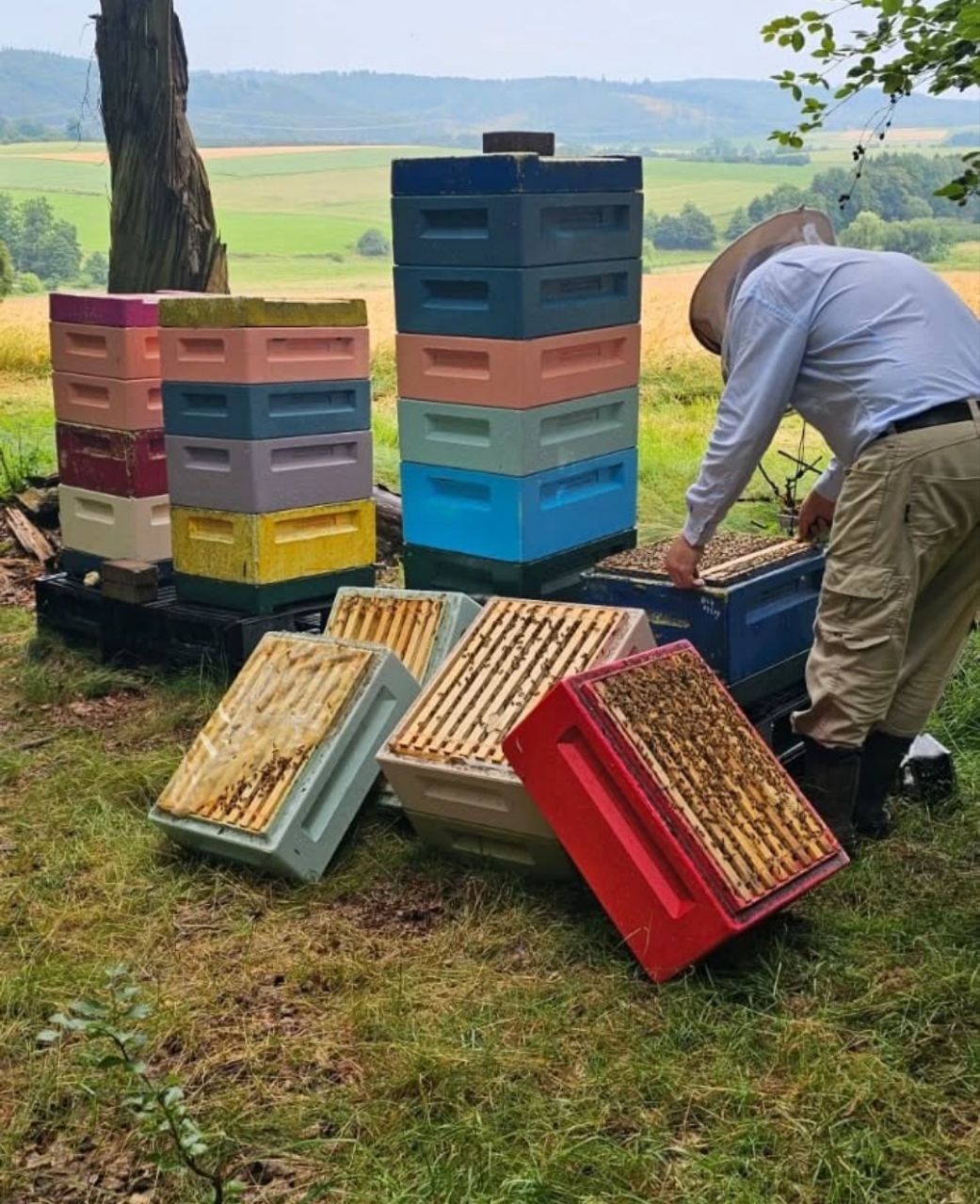 Eugen inspiziert Rähmchen