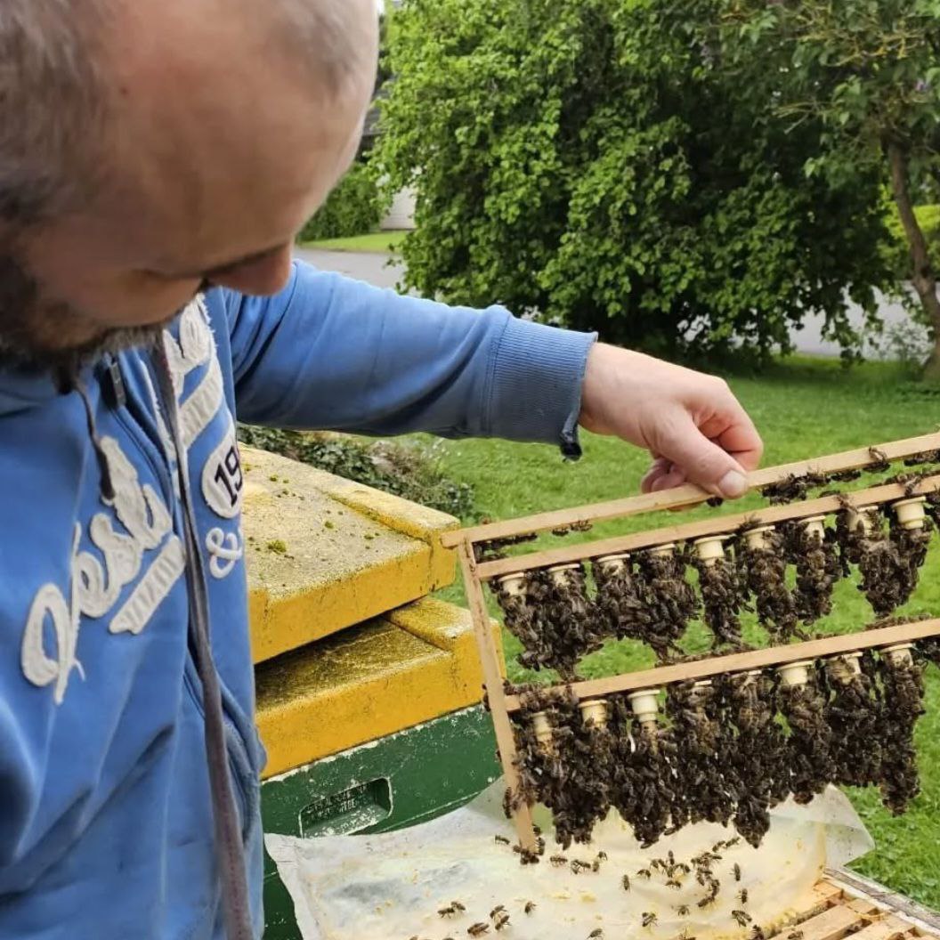 Eugen bei der Arbeit